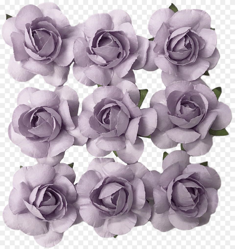 Paper Flower, Plant, Rose, Geranium, Flower Arrangement Free Transparent Png