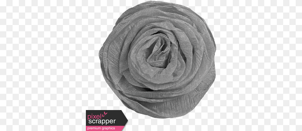 Paper Flower Template 008 Graphic By Janet Kemp Pixel Garden Roses, Plant, Rose, Diaper Free Png