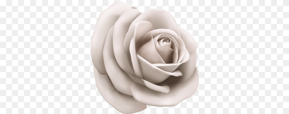 Paper Illustration Vector White Rose, Flower, Plant Free Png Download