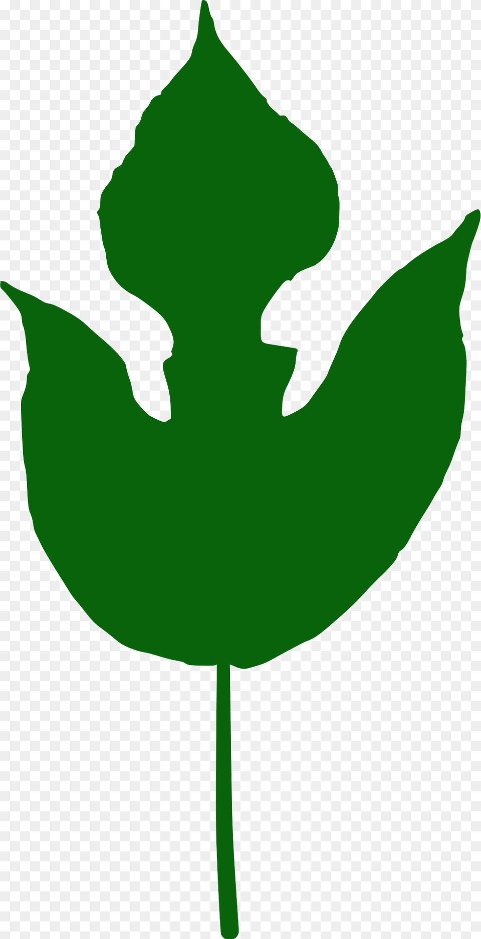 Paper Mulberry Leaf Silhouette, Plant, Green, Animal, Fish Free Png Download