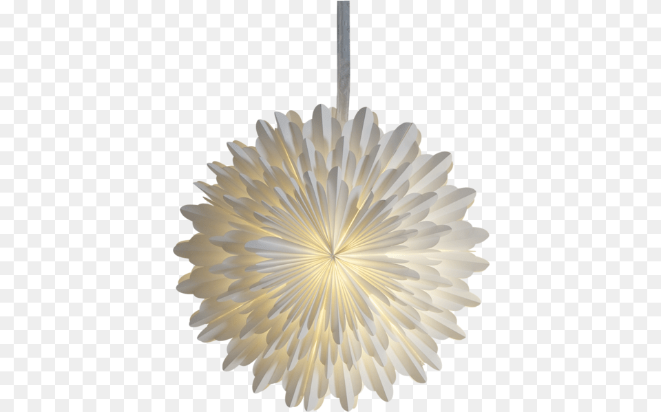 Paper Star Snow 2020 Certified Mbe Nmsdc, Chandelier, Lamp, Light Fixture Png Image