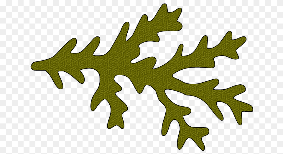 Paper This And That Another Ms Pine Branch Svg, Leaf, Plant, Tree, Nature Free Transparent Png