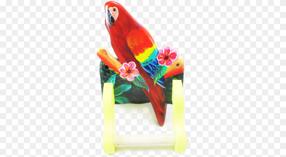 Paper Towel, Animal, Bird, Parrot Free Transparent Png