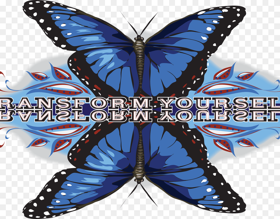 Papilio, Animal, Butterfly, Insect, Invertebrate Png