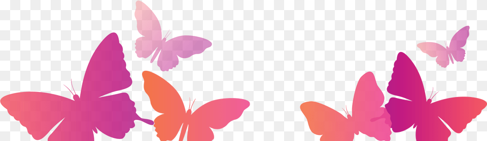 Papilio, Flower, Petal, Plant, Purple Png Image