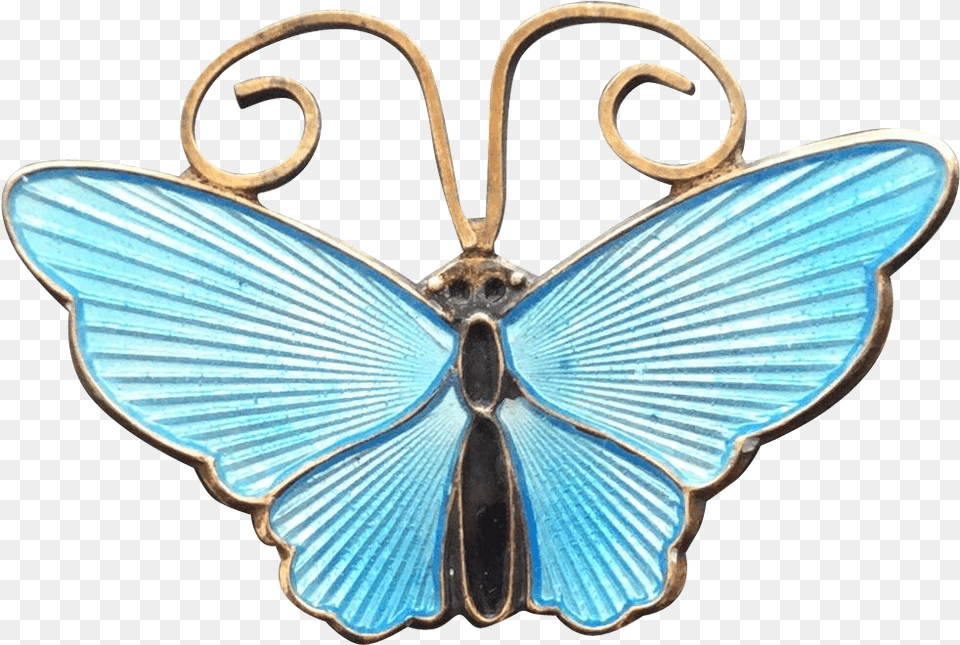 Papilio, Accessories, Jewelry, Animal, Insect Png