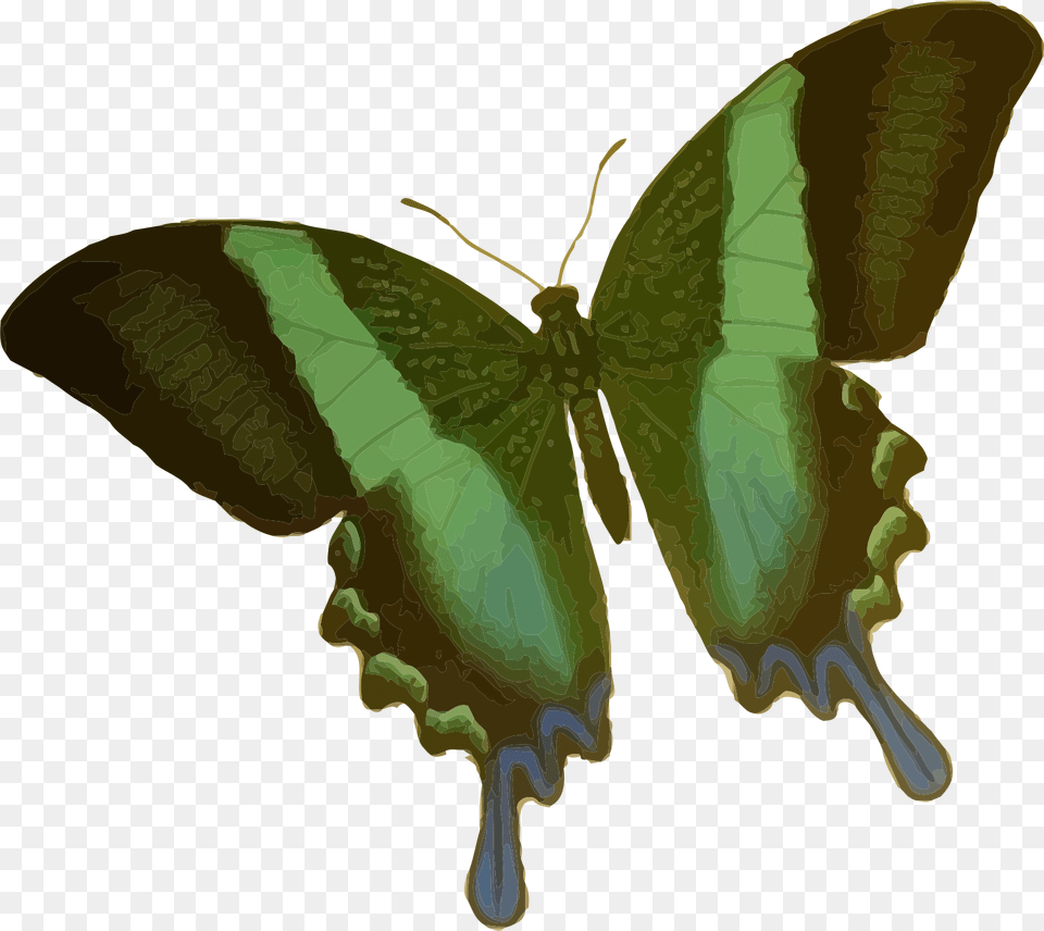 Papilio Blumei Clip Arts Butterfly Cartoon Green, Animal, Insect, Invertebrate, Person Free Png
