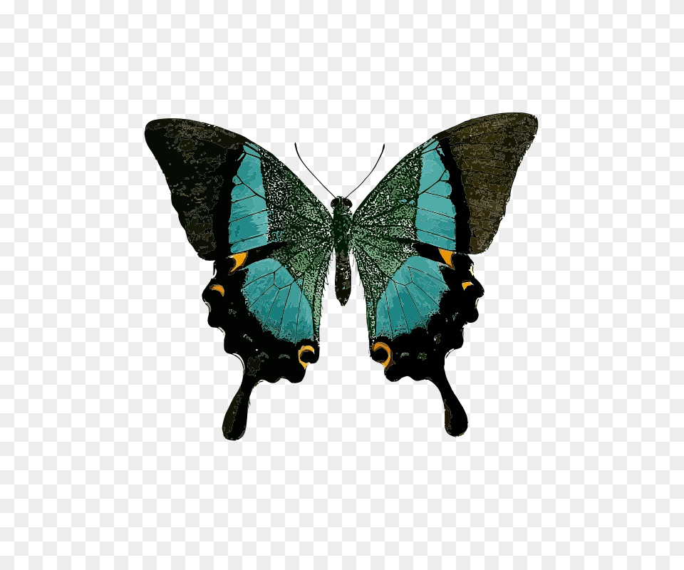 Papilio Buddha, Animal, Butterfly, Insect, Invertebrate Free Png