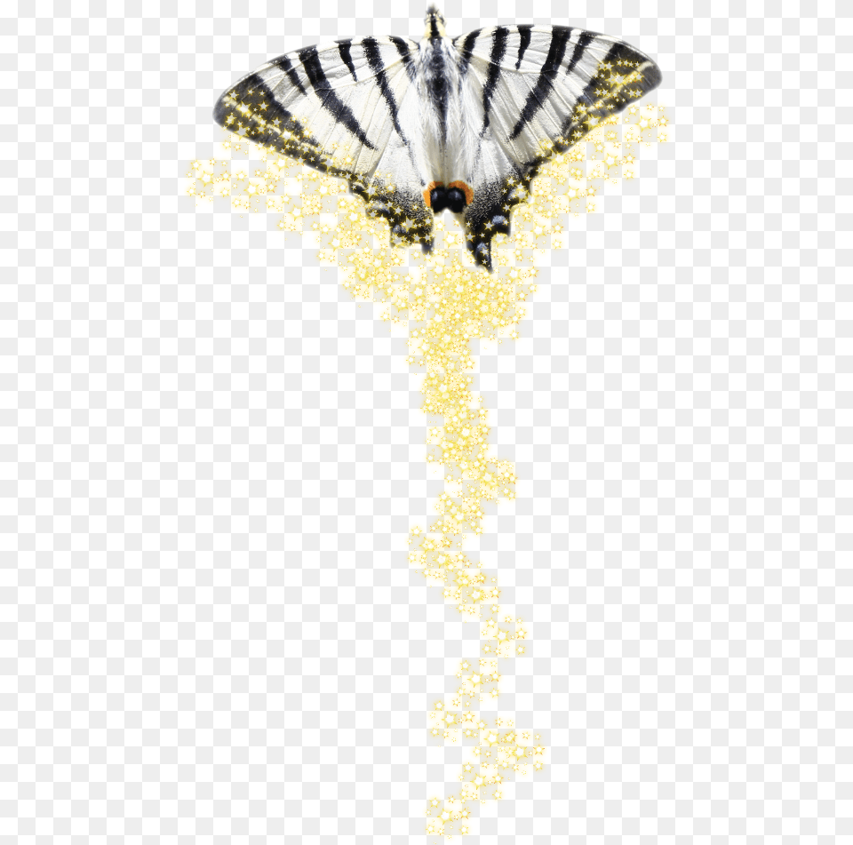 Papilio Machaon, Animal, Insect, Invertebrate, Butterfly Free Png Download