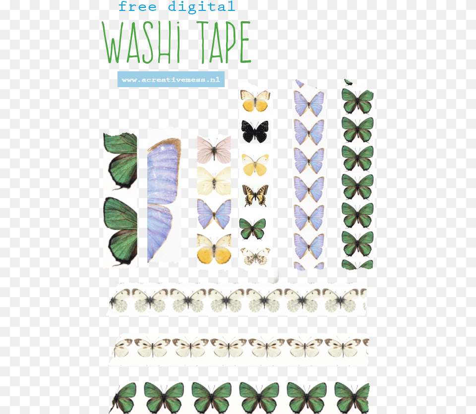 Papilio Machaon, Accessories, Formal Wear, Tie, Art Free Transparent Png