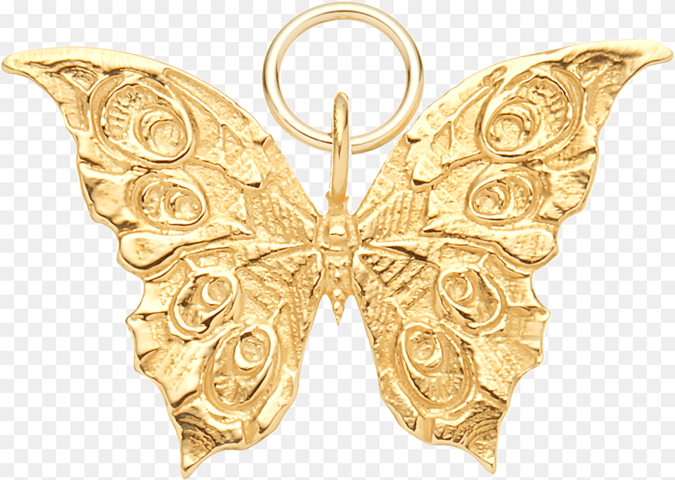 Papilio Machaon, Accessories, Earring, Gold, Jewelry Free Transparent Png
