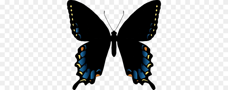 Papilioglaucusmimetic Real Azul Mariposas, Animal, Butterfly, Insect, Invertebrate Png Image