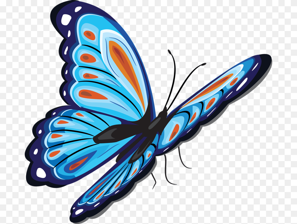 Papillon, Animal, Butterfly, Insect, Invertebrate Free Transparent Png