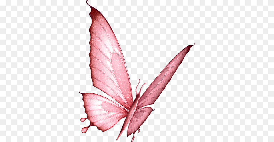 Papillons Butterflies Butterfly Butterfly Art, Flower, Plant, Petal Free Transparent Png