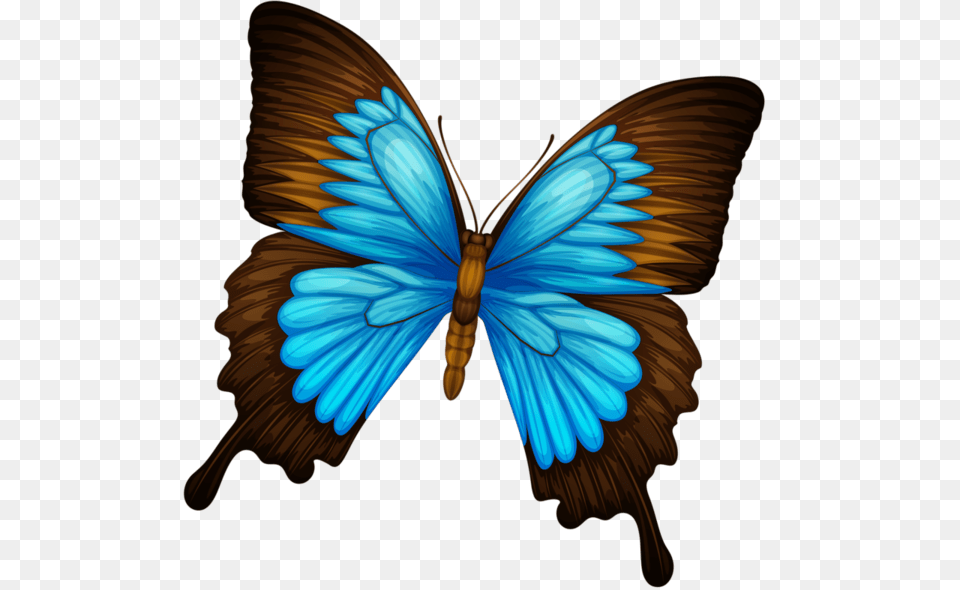 Papillons For Zeffiei Miss You Terribly Find Peace My Friend, Animal, Butterfly, Insect, Invertebrate Free Png