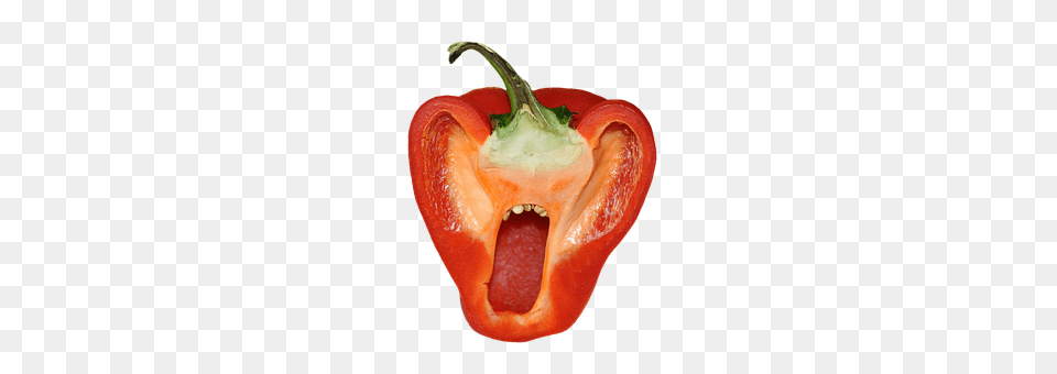 Paprika Bell Pepper, Food, Pepper, Plant Png