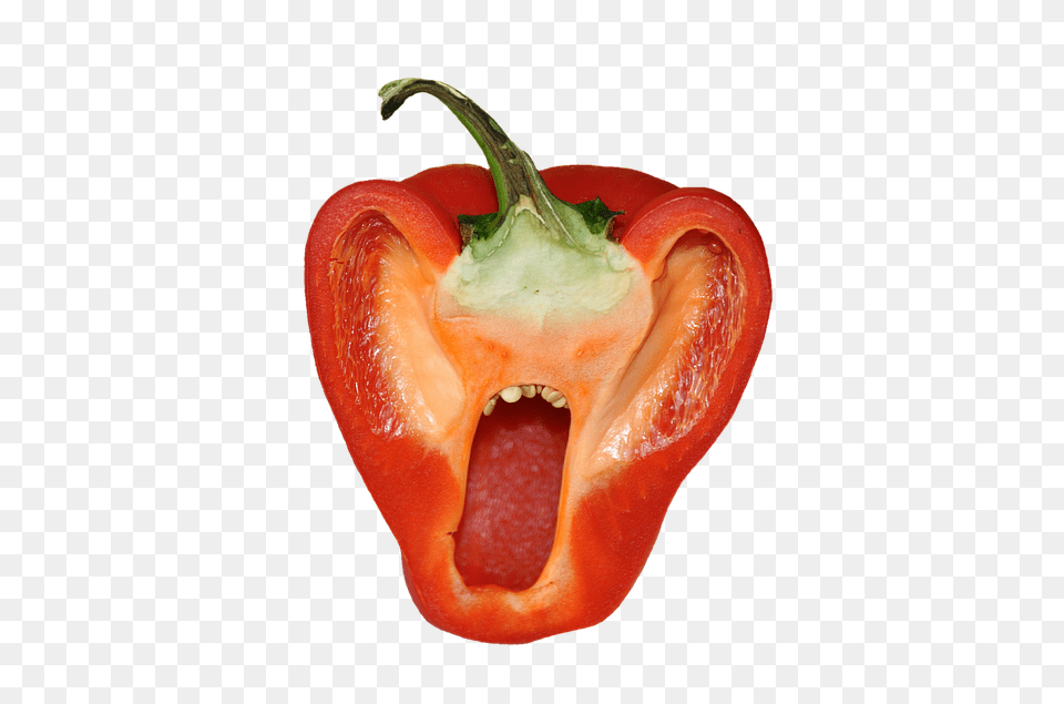 Paprika Bell Pepper, Food, Pepper, Plant Free Png