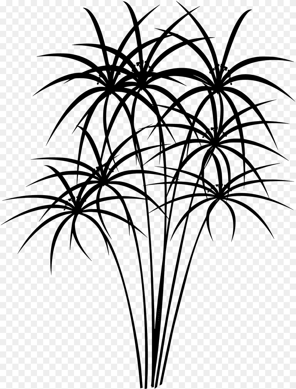 Papyrus Reeds Silhouette, Palm Tree, Plant, Tree, Art Free Transparent Png