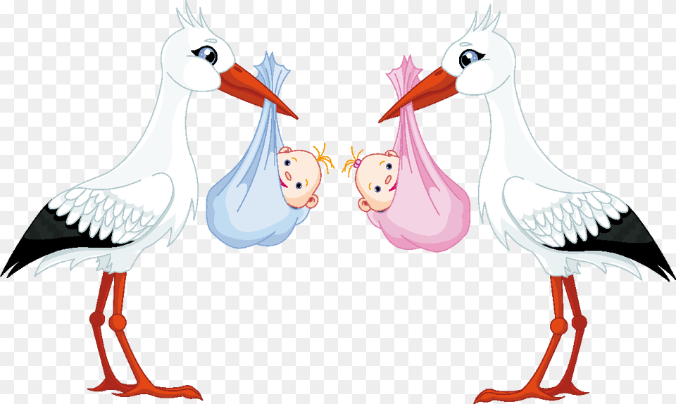 Para Baby Shower Twins Boy And Girl Clipart, Animal, Beak, Bird, Stork Free Png Download