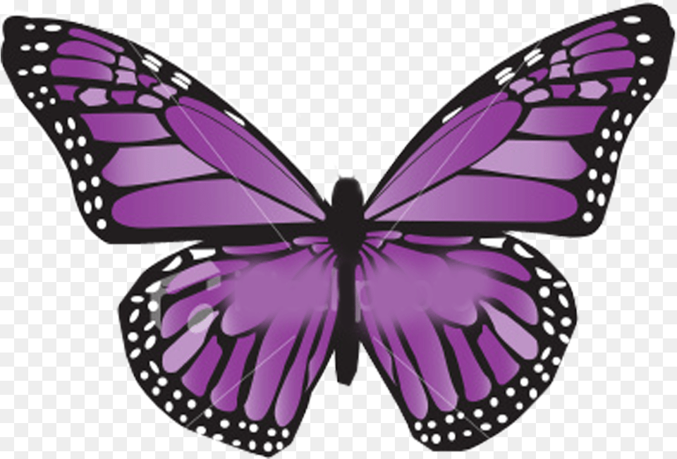 Para Empezar Necesitamos Alas De Mariposas Y Una Thyroid Cancer Survivor Butterfly, Purple, Animal, Insect, Invertebrate Free Png Download