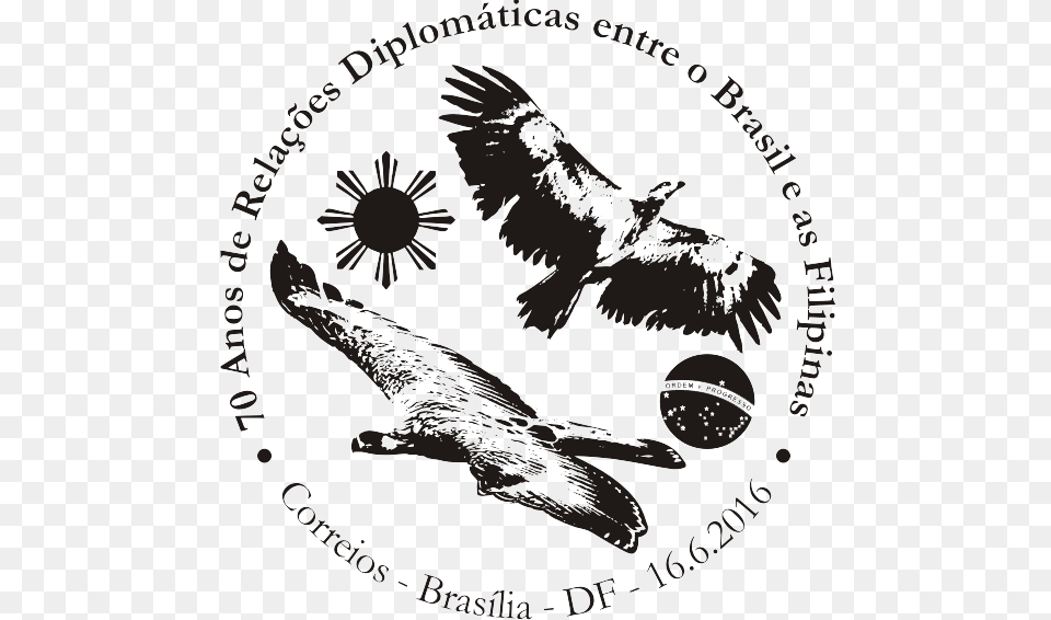 Para Sociedade Brasileira De Hepatologia, Animal, Bird, Vulture, Flying Png