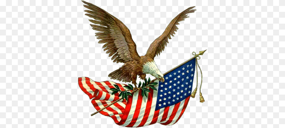 Parade Day Holiday Bird Hq Image Memorial Day Images Clip Art, American Flag, Flag, Animal Png