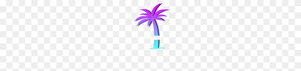 Paradise, Palm Tree, Plant, Tree Free Png Download