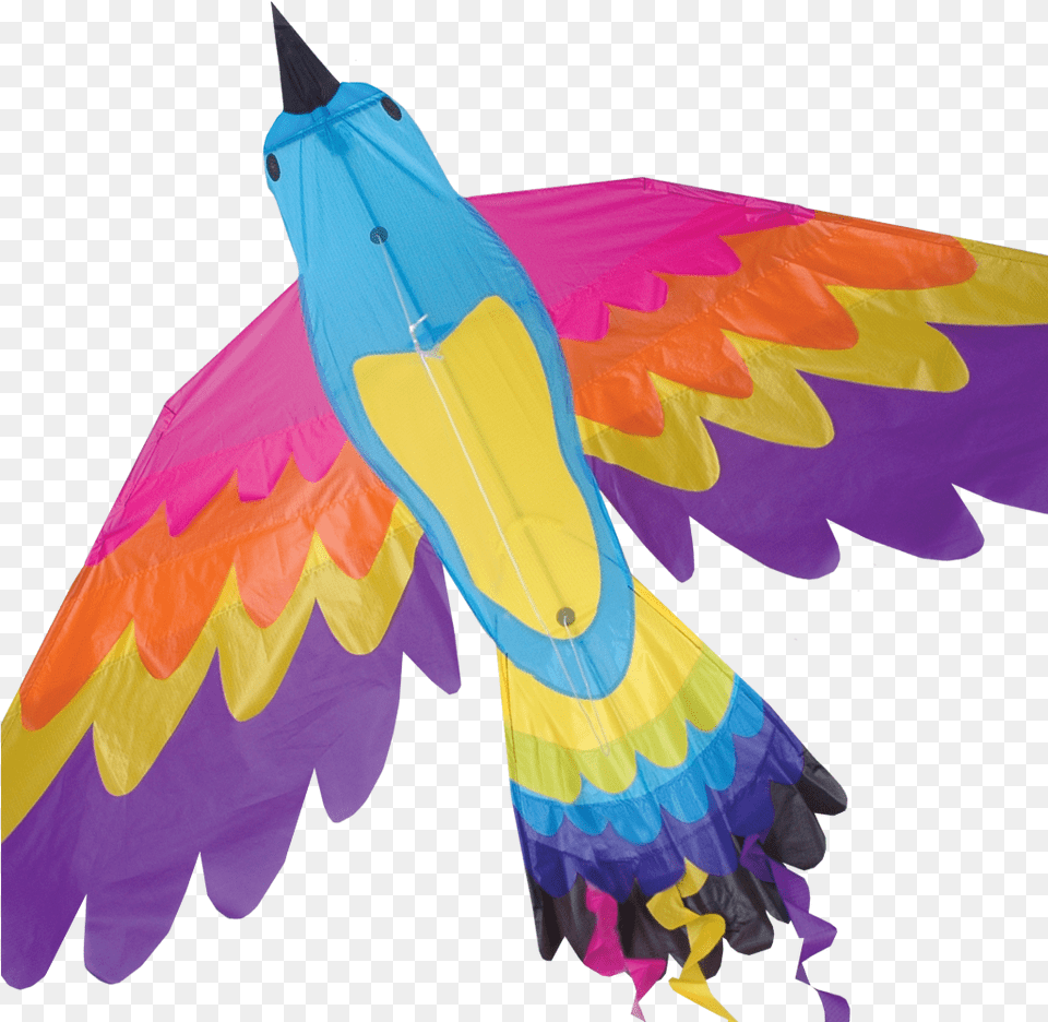 Paradise Bird Kite Bird Kite, Toy Png
