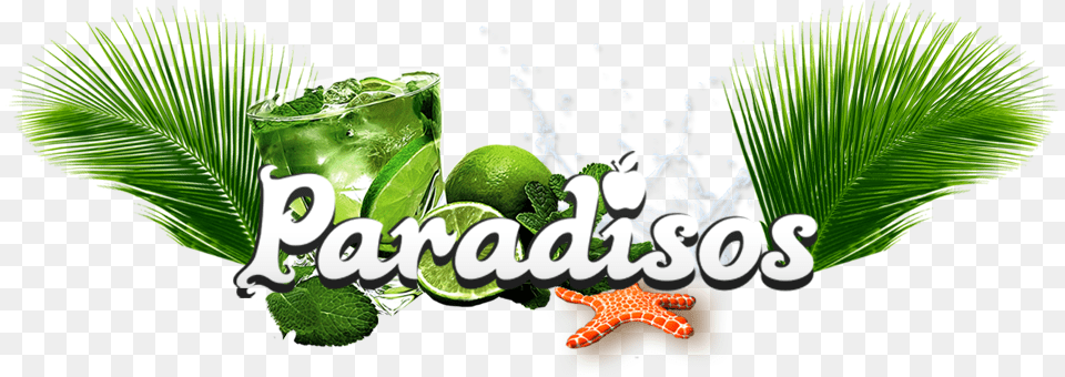 Paradisos Cyprus Beach Cyprus Beach Venue Cyprus Illustration, Alcohol, Beverage, Cocktail, Mojito Free Transparent Png