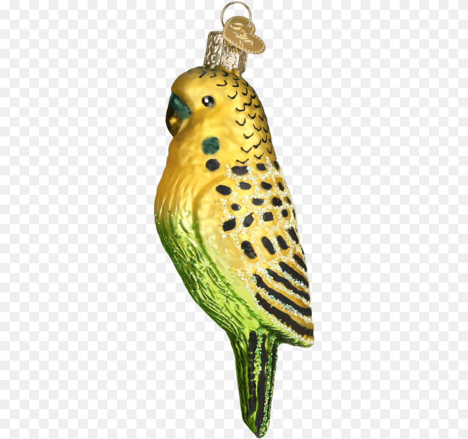 Parakeet Christmas Ornament, Animal, Bird, Parrot, Sea Life Png