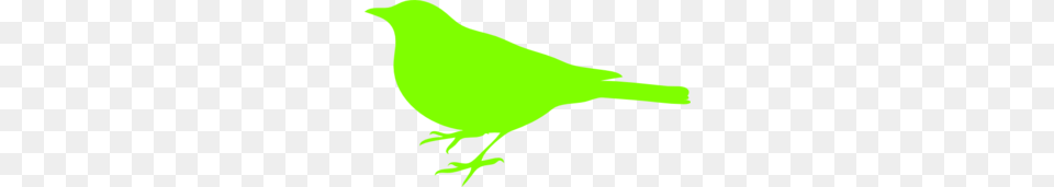 Parakeet Clip Art, Animal, Bird, Finch, Jay Free Png