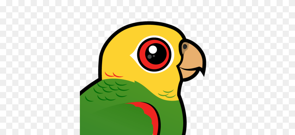 Parakeet Clipart Amazon Parrot, Animal, Beak, Bird Png
