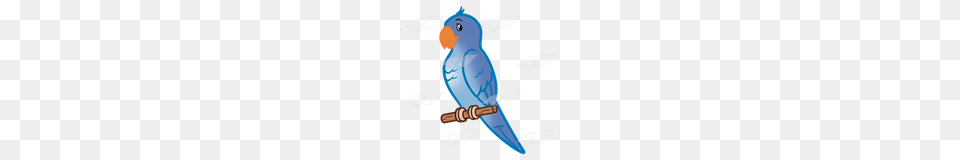 Parakeet Clipart Clip Art, Animal, Bird, Parrot Free Png Download