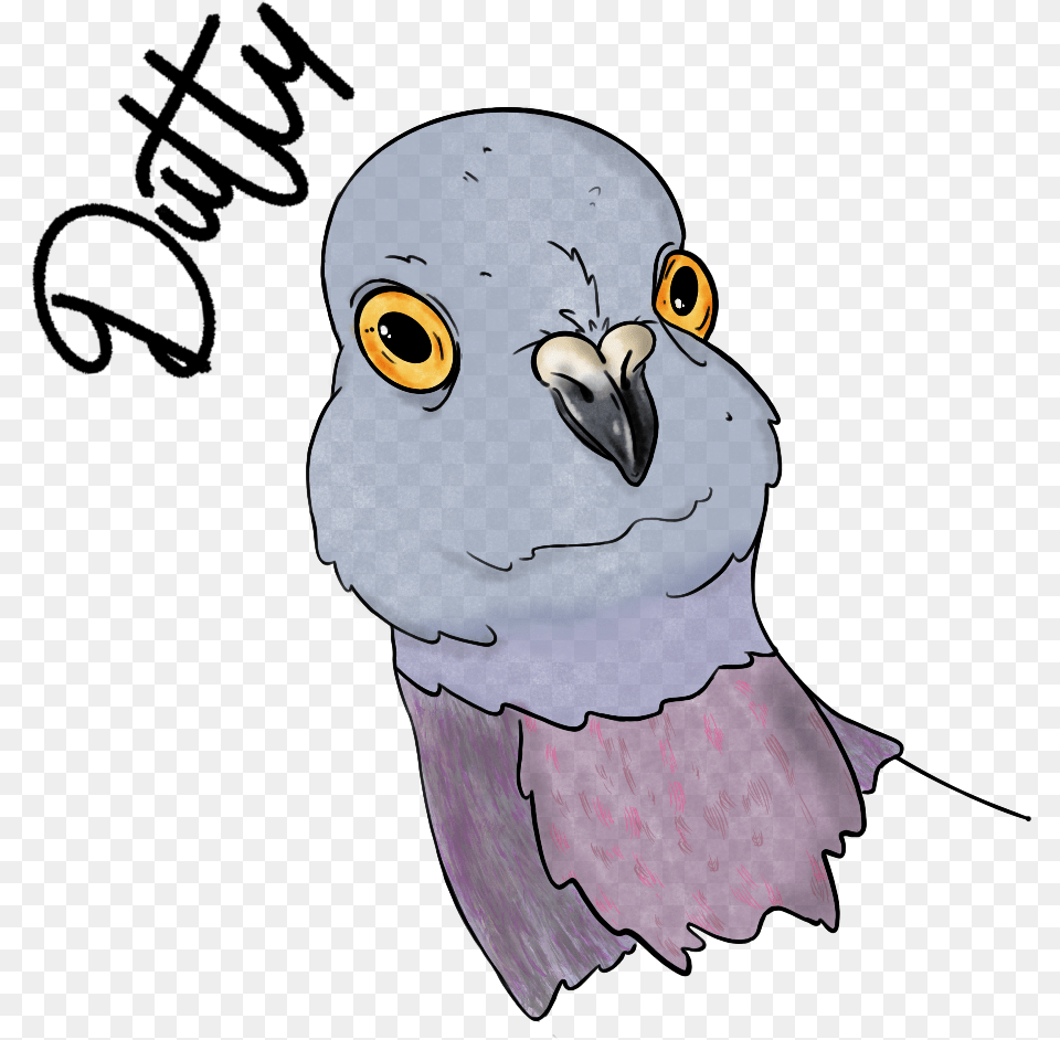 Parakeet Clipart Illustration, Animal, Beak, Bird, Vulture Free Png