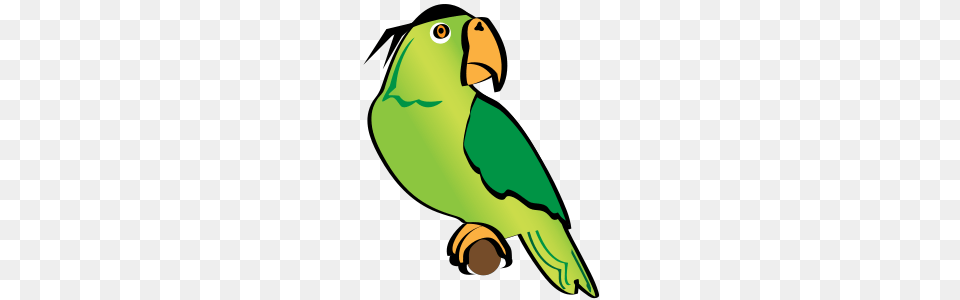 Parakeet Clipart Pirate, Animal, Beak, Bird, Parrot Png