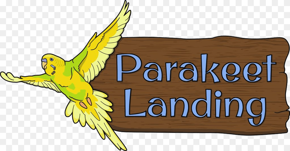 Parakeet Landing At Clyde Peeling S Reptiland Parakeet, Animal, Bird, Parrot Free Transparent Png