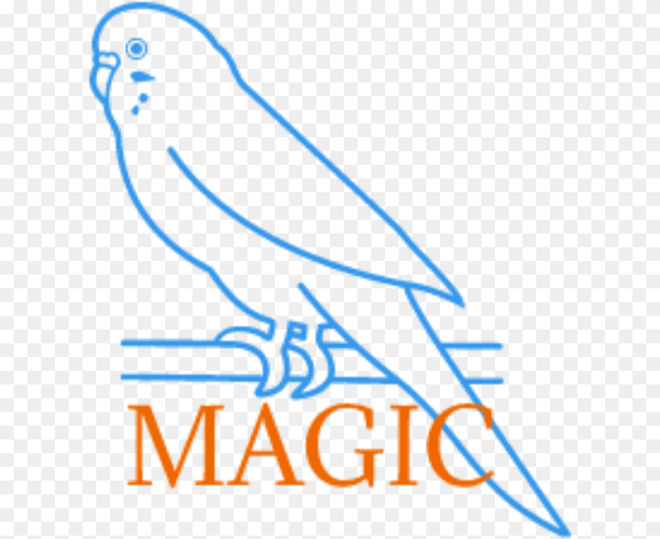 Parakeet Magic Parakeet Magic Parrot, Animal, Bird, Jay, Dynamite Free Png Download