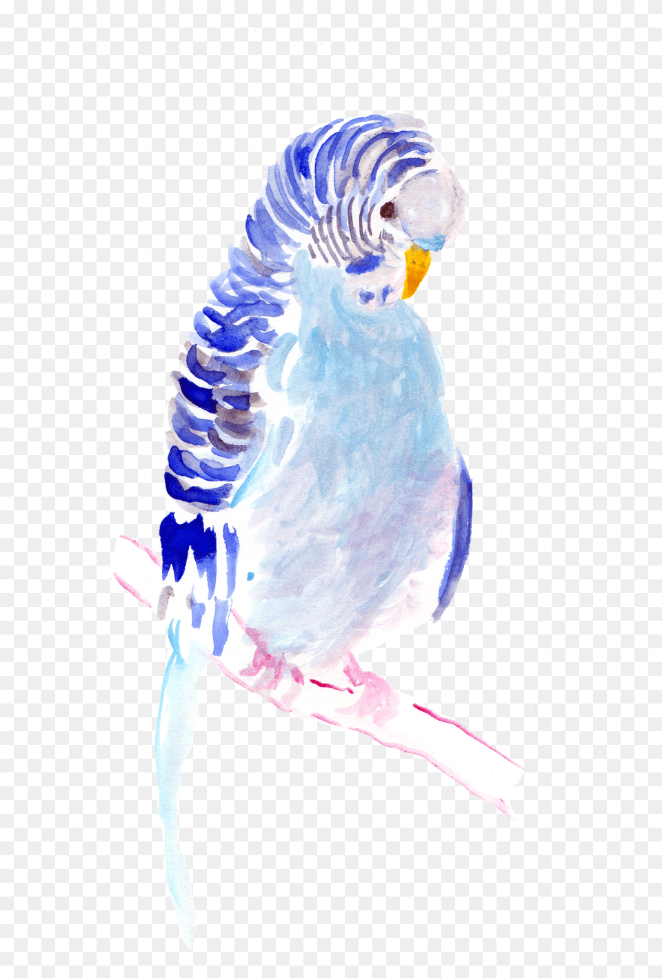 Parakeet Watercolor Painting, Animal, Bird, Parrot, Person Free Png