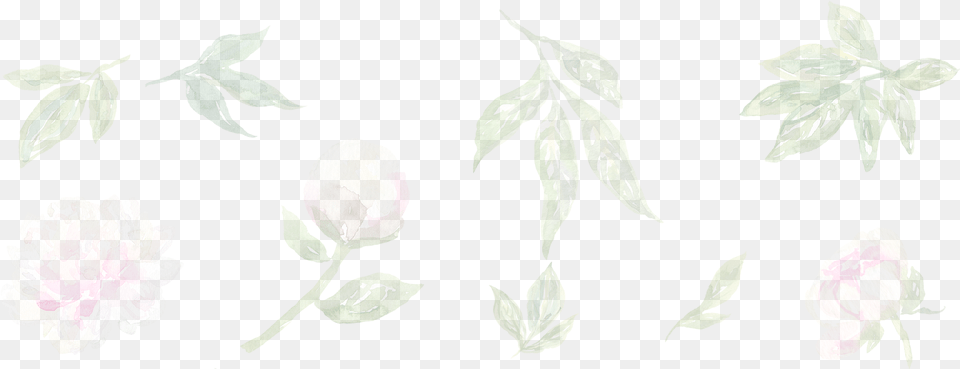 Parallax Background Illustration, Flower, Leaf, Petal, Plant Png