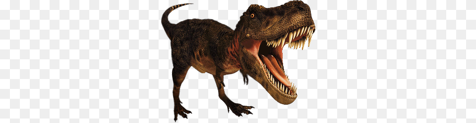 Parallax T Rex, Animal, Dinosaur, Reptile, T-rex Free Transparent Png