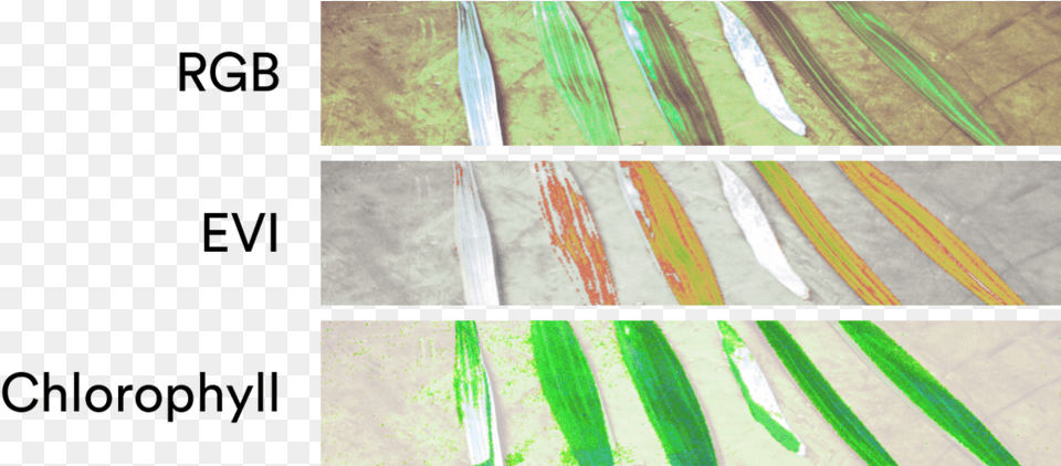 Parallel, Art, Collage, Graphics, Painting Free Transparent Png