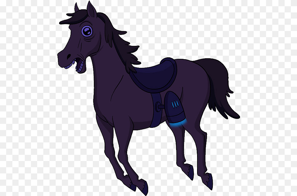 Paralyzed Horse, Animal, Mammal, Person Free Transparent Png