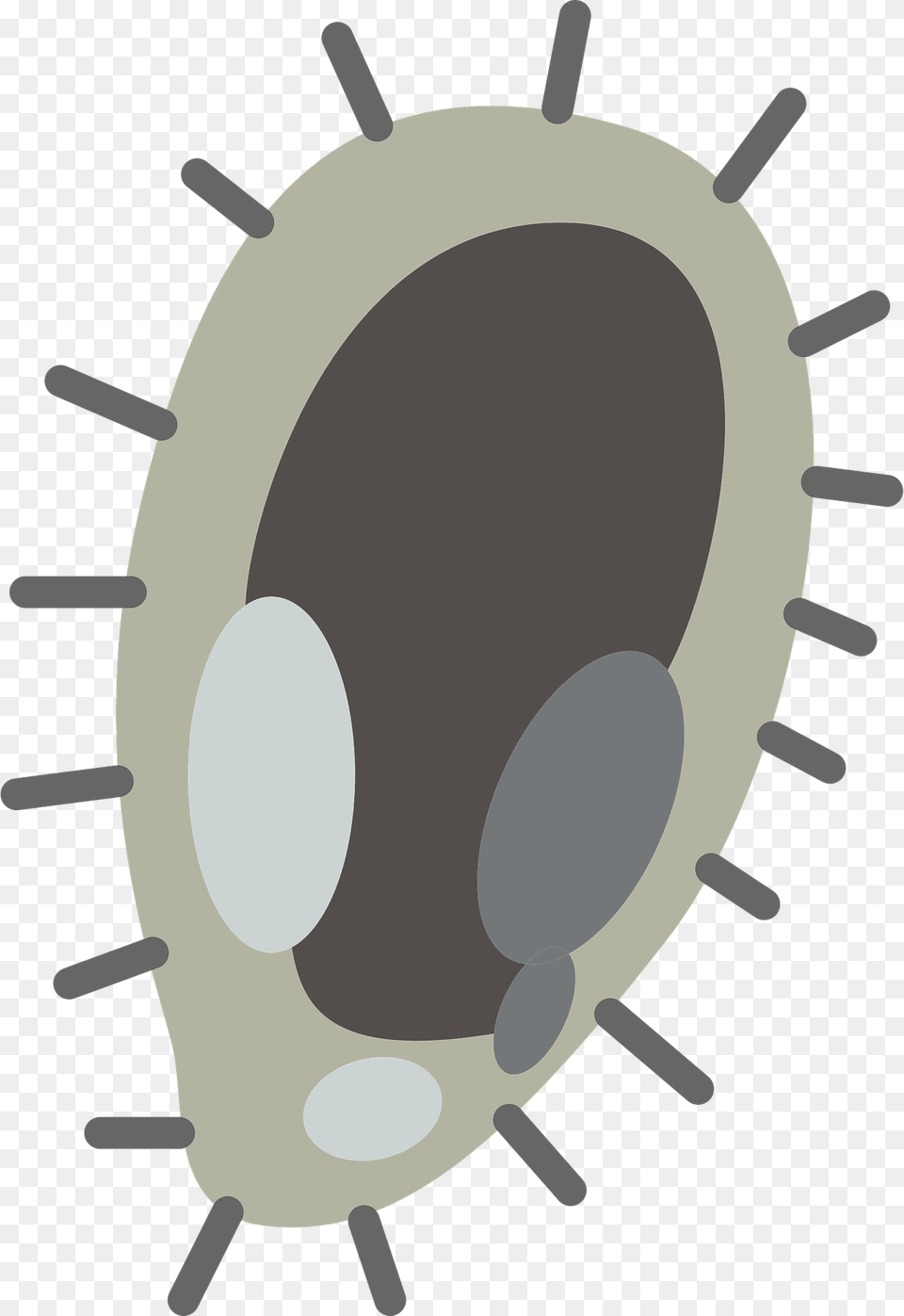 Paramecium Caudatum Single Cell Microorganism Clipart, Ammunition, Grenade, Weapon, Food Png