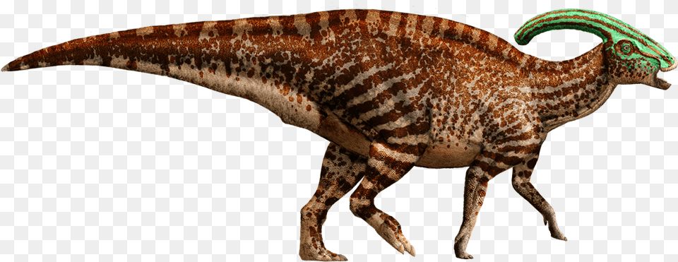 Parasaurolophus Detail Header Parasaurolophus Jurassic Park Dinosaurs, Animal, Dinosaur, Reptile, T-rex Png Image