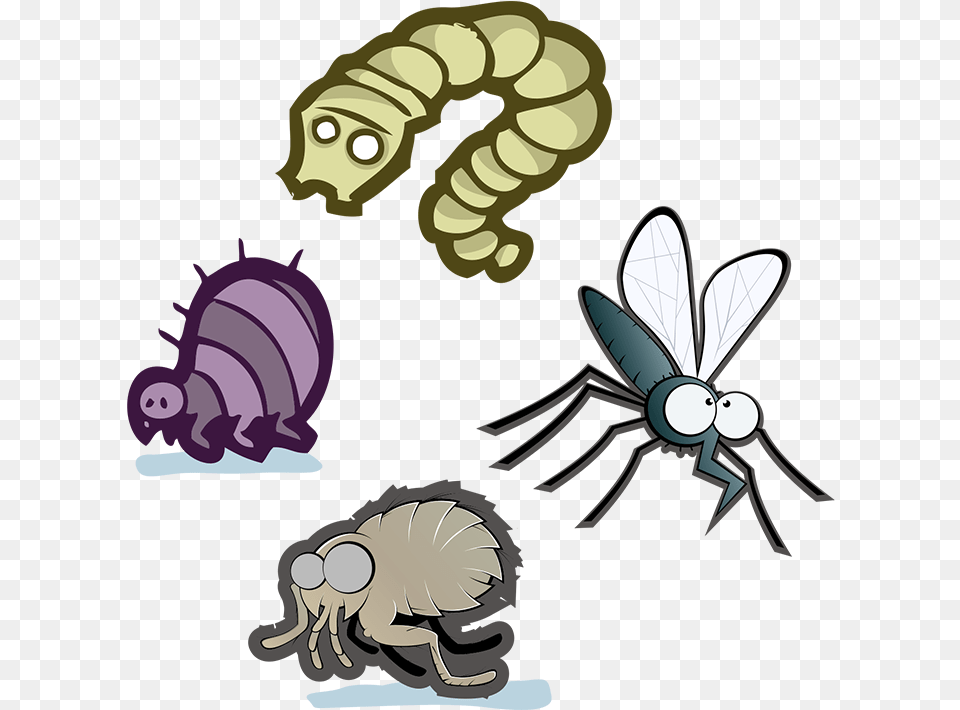 Parasitism Clipart Download Cartoon, Animal, Face, Head, Person Png