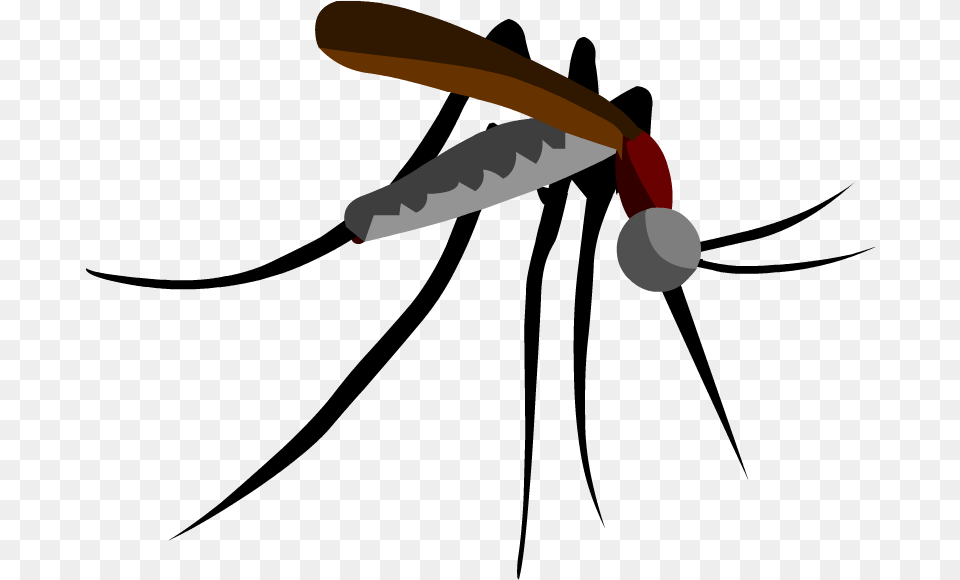 Parasitism Drawing Mosquito Clipart Black And White Mosquito Cutout, People, Person, Baseball, Sport Free Png