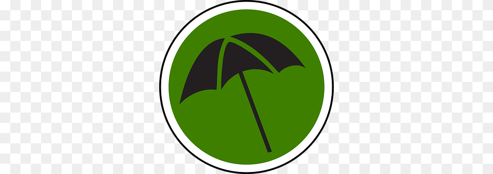 Parasol Green, Leaf, Plant, Canopy Free Transparent Png