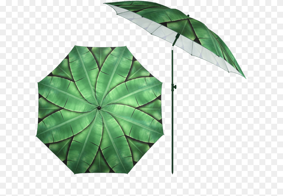 Parasol Banana Leaves, Canopy, Umbrella, Plant, Leaf Png Image