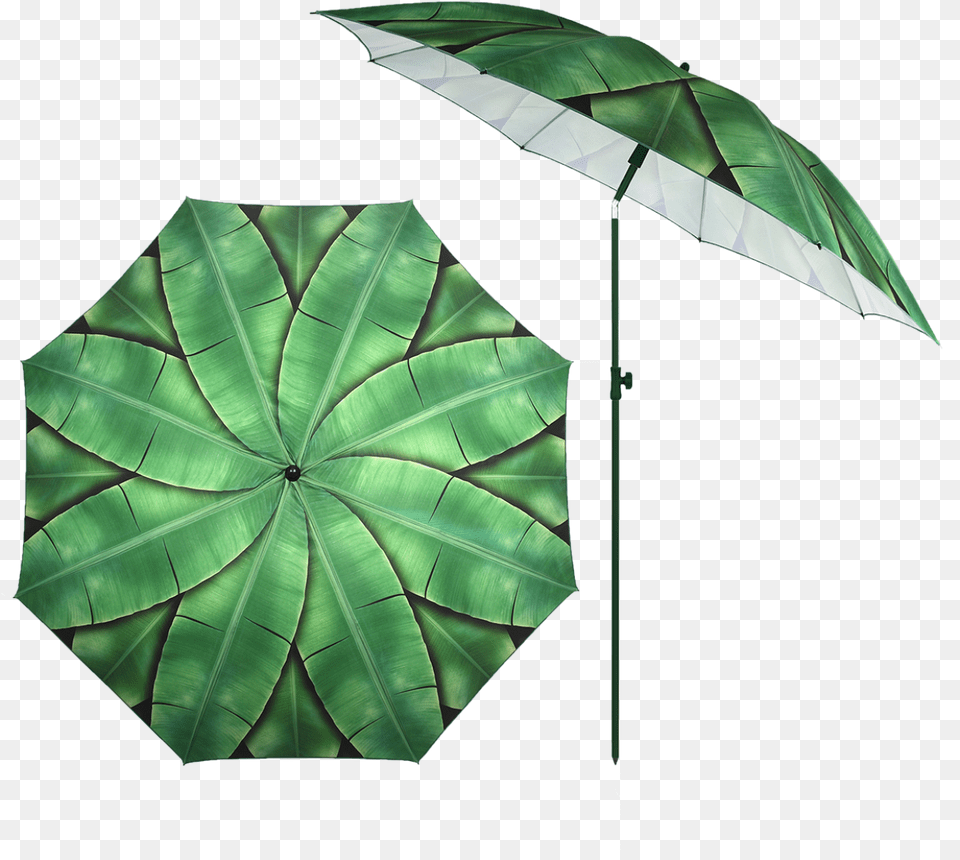 Parasol Banana Leaves Naperny Balkonra, Canopy, Plant, Umbrella, Leaf Png Image