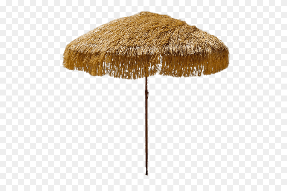 Parasol Rapphia, Nature, Outdoors, Patio Umbrella, Patio Png